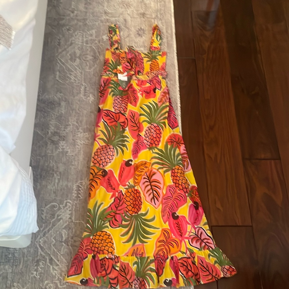 Farm rio fruit dream maxi dress